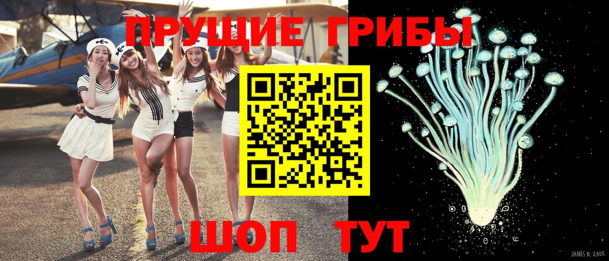 Галлюциногенные грибы Psilocybe Избербаш