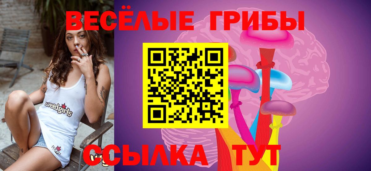 Псилоцибиновые грибы мицелий  Вход с VPN  Псилоцибиновые грибы MAGIC MUSHROOMS  Избербаш 
